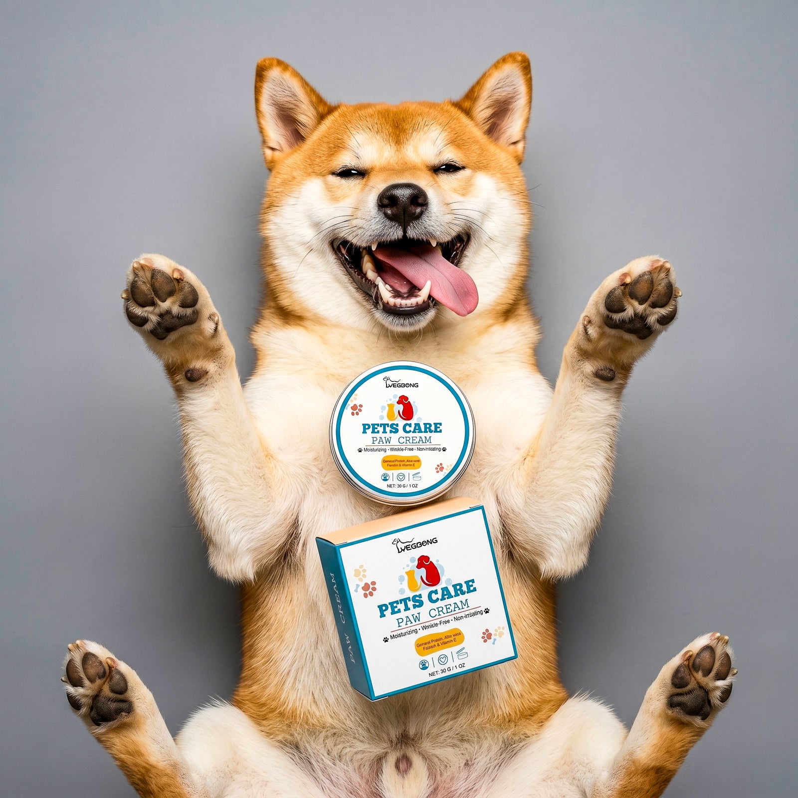 Chien de race Shiba Inu allongé sur le dos, joyeux avec la langue pendante, présentant ses coussinets avec un pot et une boîte de baume hydratant pour pattes posés sur son pelage, fond gris.