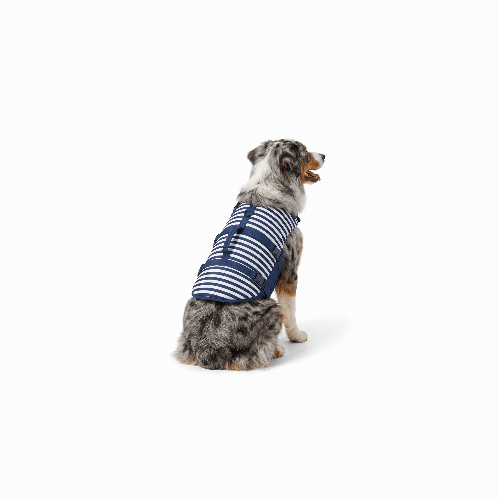 Vue de dos du gilet de flottaison pour chien : poignée dorsale de hissage et sangles de réglage bien visibles.
